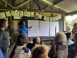 Solomon Islands_SIIVA