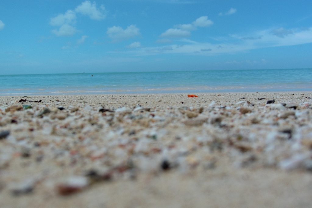 Close up of a beach with shells with a hermit crab off in the distance.